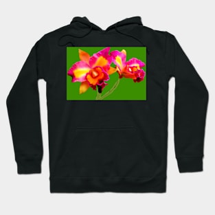 Orchid Flowers Hoodie